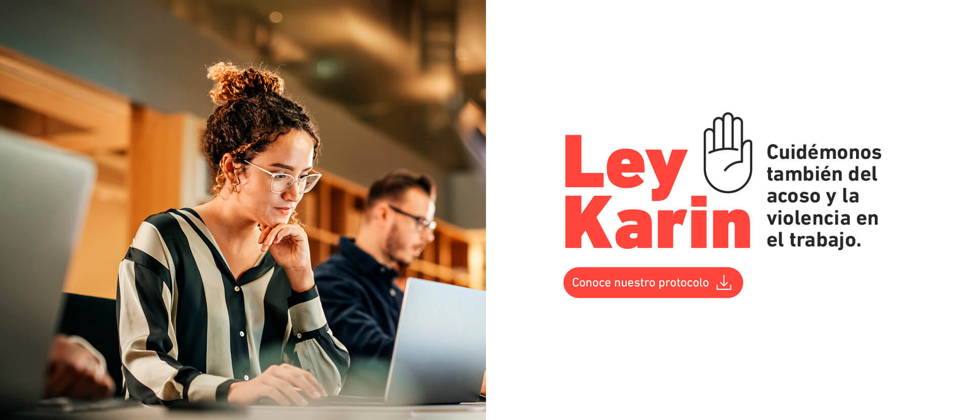 Ley Karin