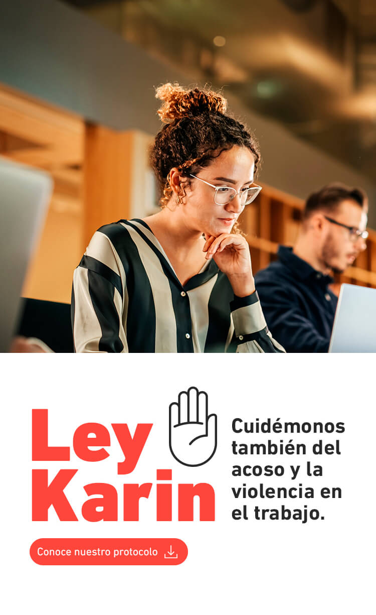 Ley Karin